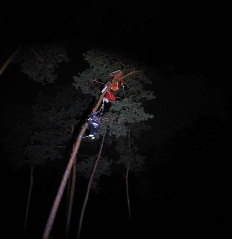 Zdjęcie prezentuje ratowników uwalniajacych spdochroniarzy w koronach drzew