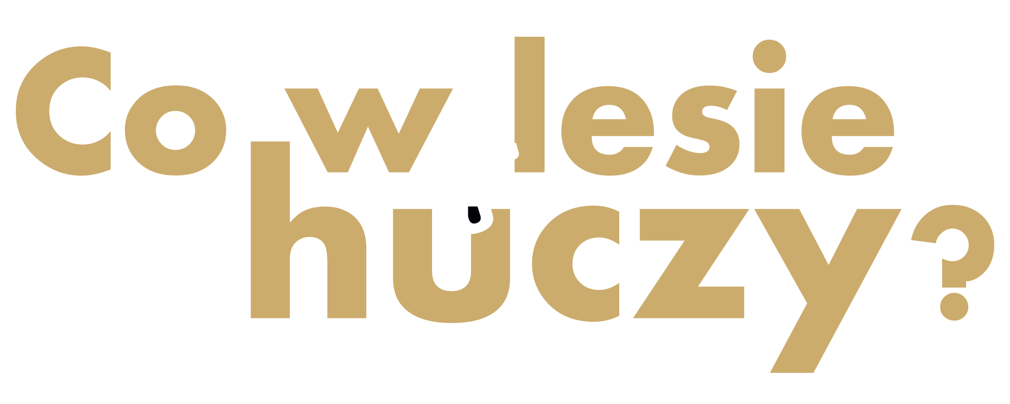 Sowy to jedne z najbardziej tajemniczych i niezwykłych ptaków naszych lasów