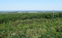 Rozpoczęła się akcja bezpośrednia w ochronie przeciwpożarowej lasów!