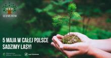 Druga ogólnopolska edycja kampanii „Łączą nas drzewa”
