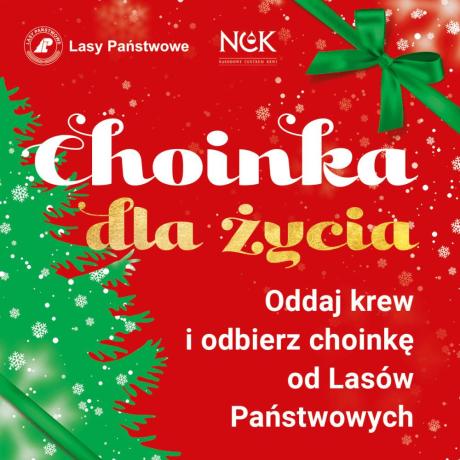 Czwarta edycja akcji „Choinka dla życia” w Nadleśnictwie Konin